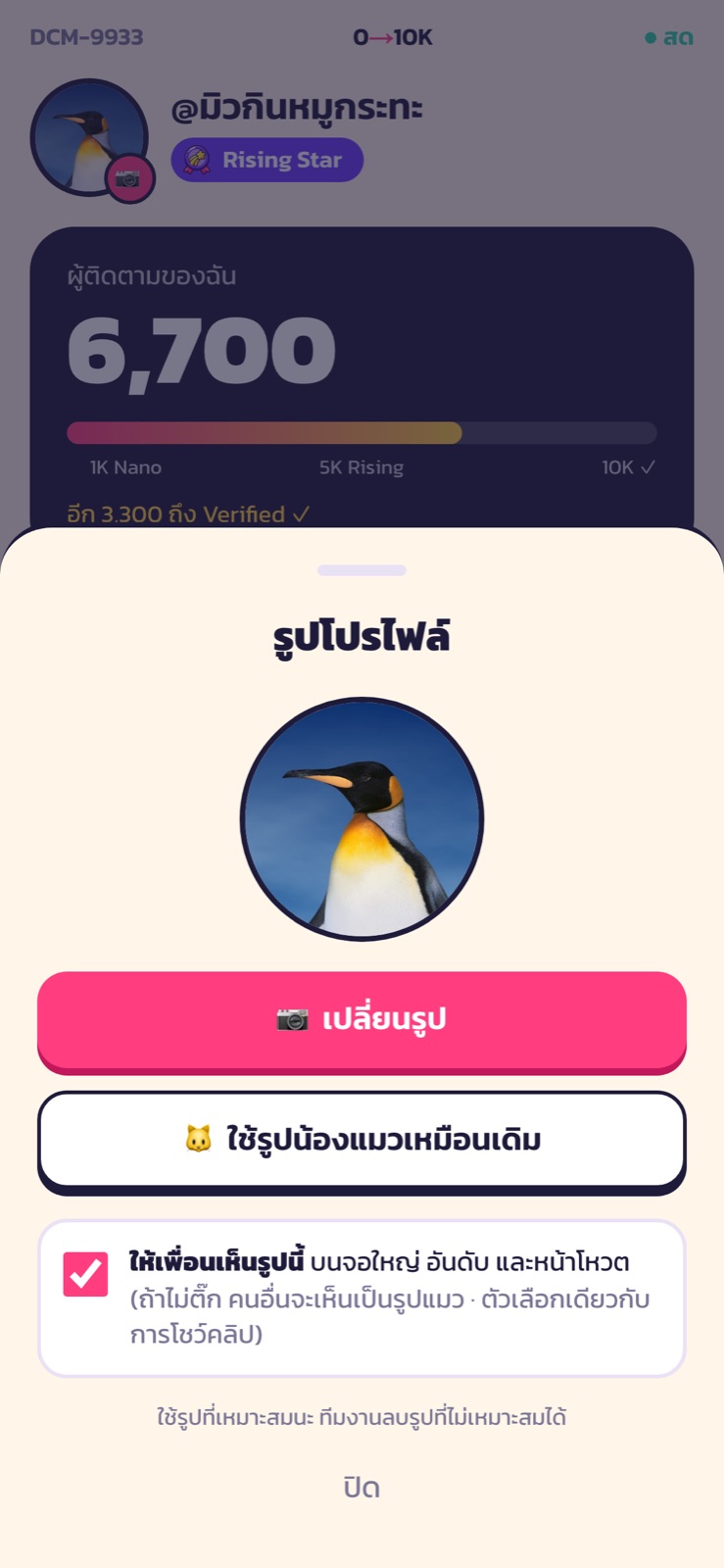 หน้าต่างเปลี่ยนรูปโปรไฟล์ พร้อมตัวเลือกให้เพื่อนเห็นรูป